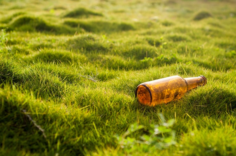 Environmental Degradation